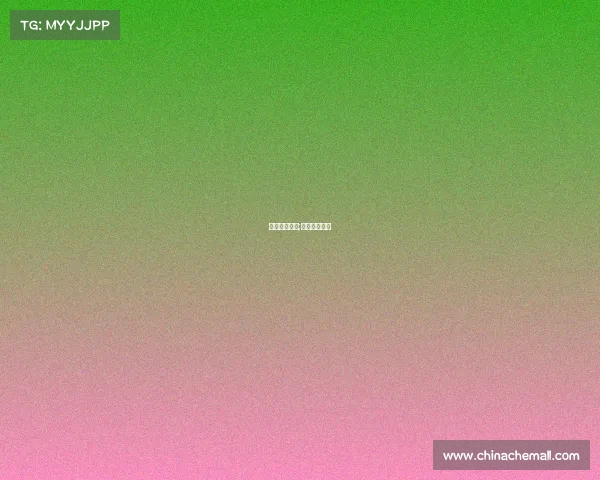 澳门搏击赛事;澳门搏击比赛