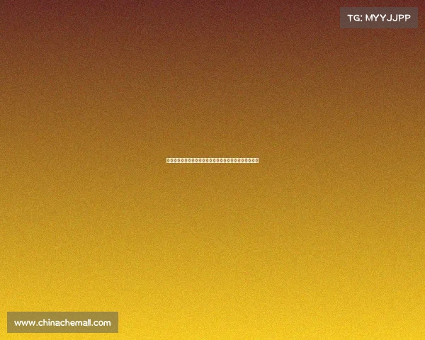 浙江赛道赛事激情竞速巅峰对决英雄汇聚梦想启航盛大开幕